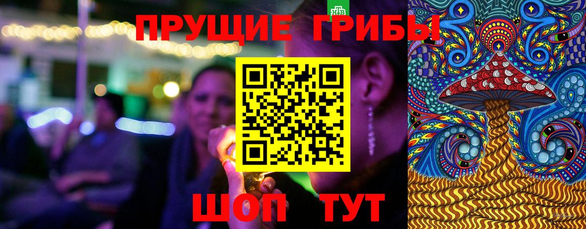 Псилоцибиновые грибы GOLDEN TEACHER Батайск
